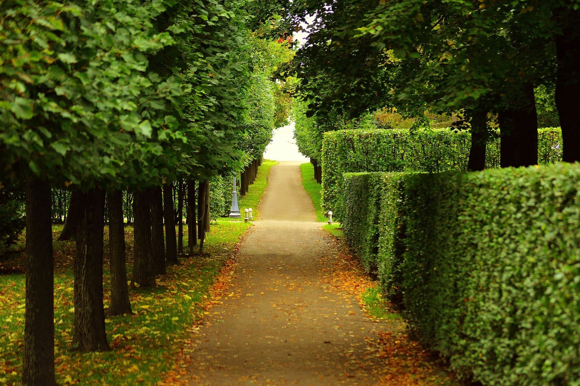 Hecken Parkanlage im Herbst