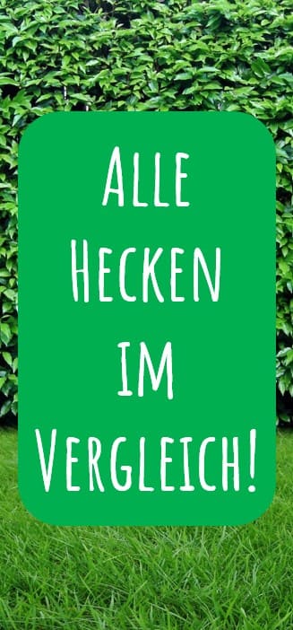 Alle Hecken im Vergleich