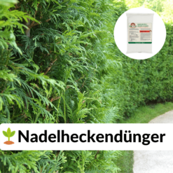 Nadelheckendünger online kaufen