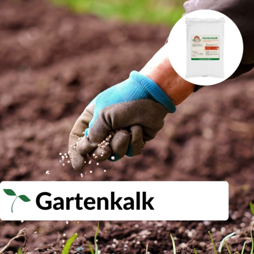 Hecken Helge Gartenkalk Online