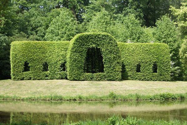 Gartenhecke