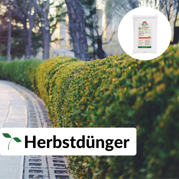 Hecken Helge Herbstdünger Hecken Helge