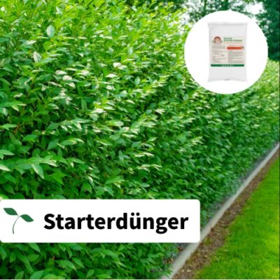 Hecken Helge Starterdünger